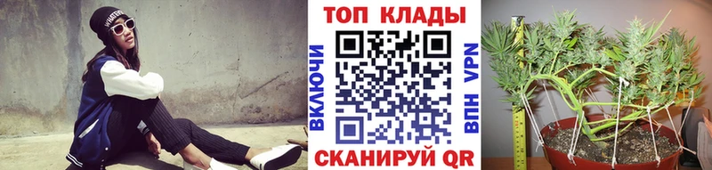 Магазины продажи наркотиков Динская kraken маркетплейс  Канабис  КОКАИН  Мефедрон  Гашиш  Alpha PVP  Амфетамин 