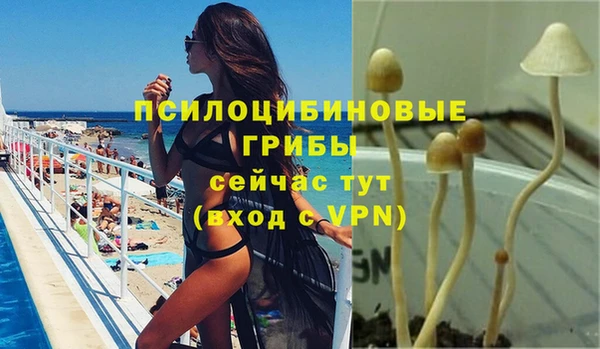 первитин Арсеньев