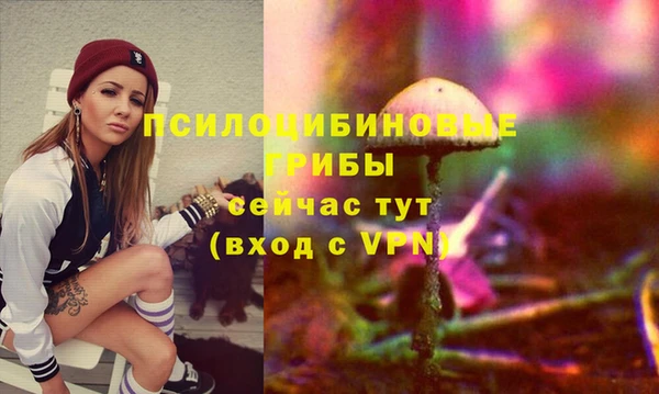 МДПВ Абаза