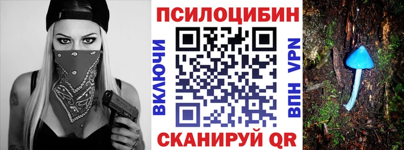 МЕГА ссылки  Динская  Галлюциногенные грибы Cubensis 